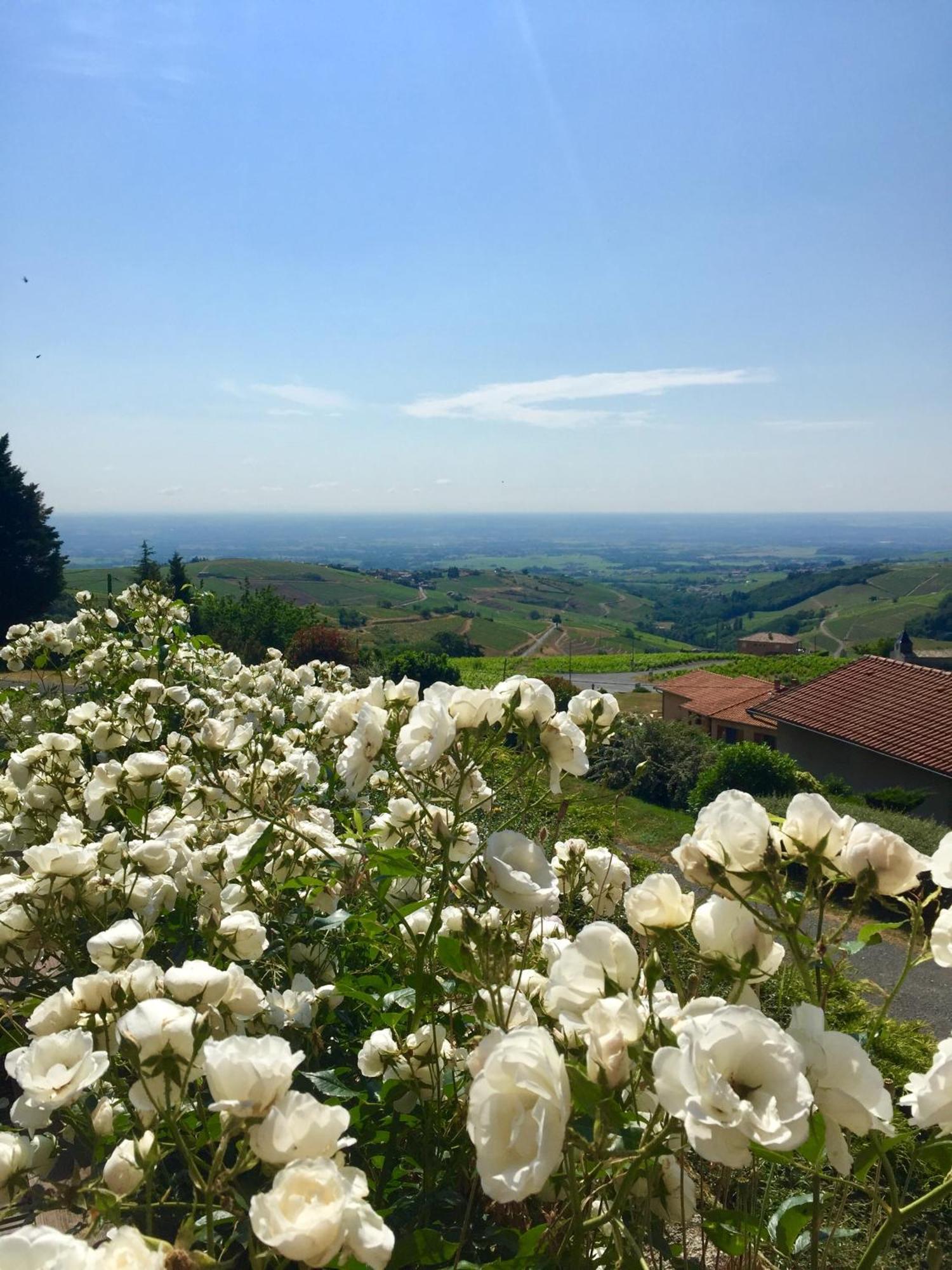 Le Balcon Du Fetre Bed & Breakfast Chiroubles Exterior foto