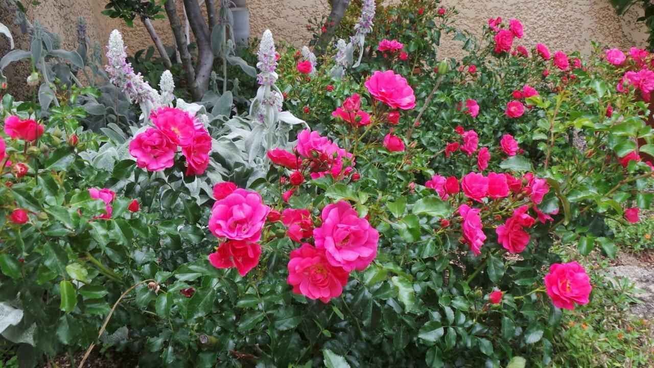 Le Balcon Du Fetre Bed & Breakfast Chiroubles Exterior foto